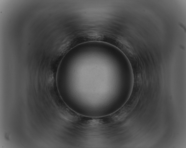 X0000093110320200709261256