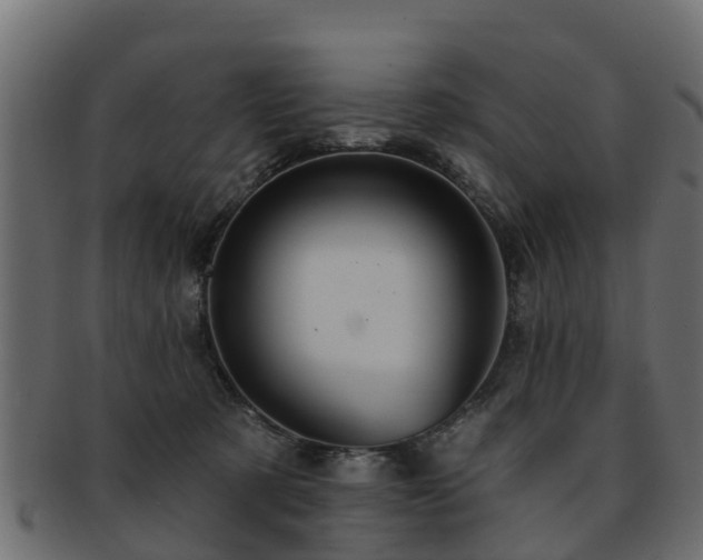X0000093110321200709261256