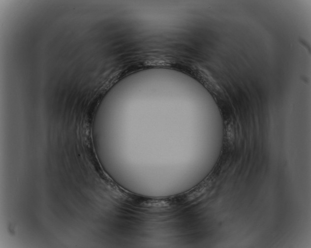X0000093110322200709261256