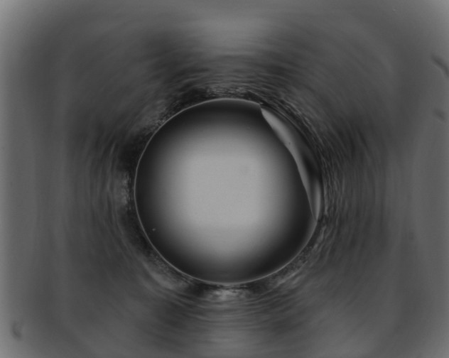 X0000093110323200709261256