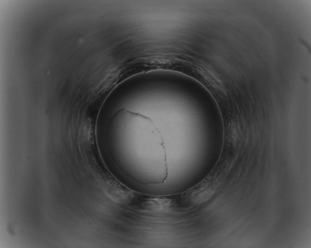 X0000093110328200709261256