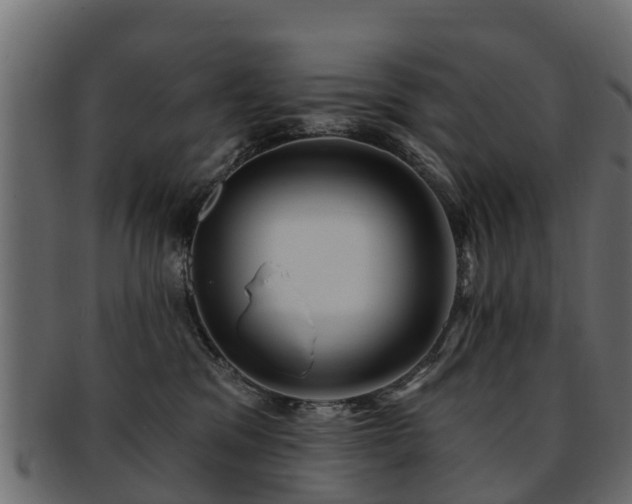X0000093110329200709261256