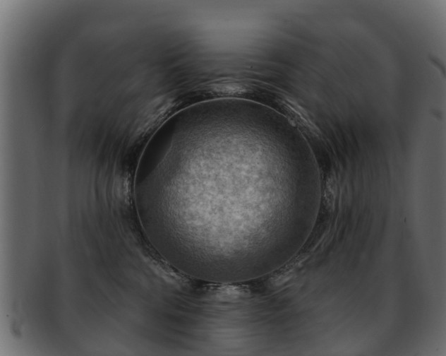 X0000093110330200709261255