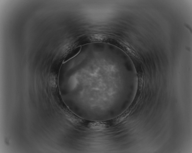 X0000093110331200709261255