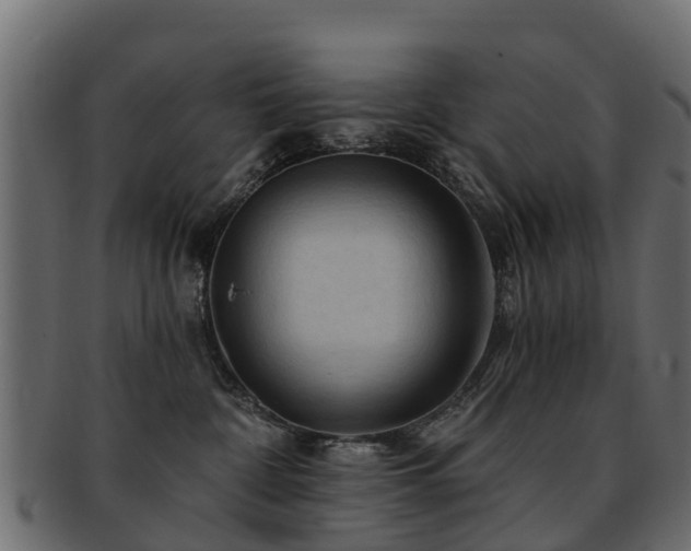 X0000093110332200709261255