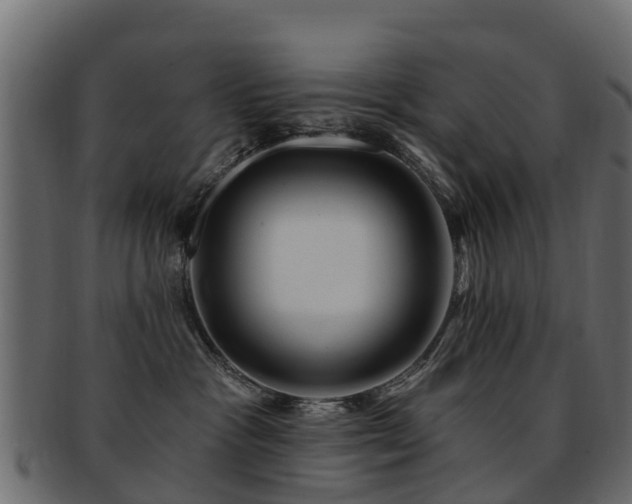 X0000093110333200709261255