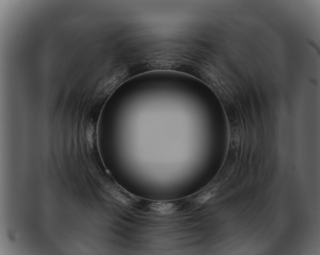 X0000093110334200709261255