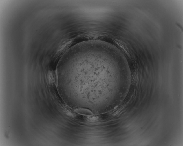 X0000093110335200709261255