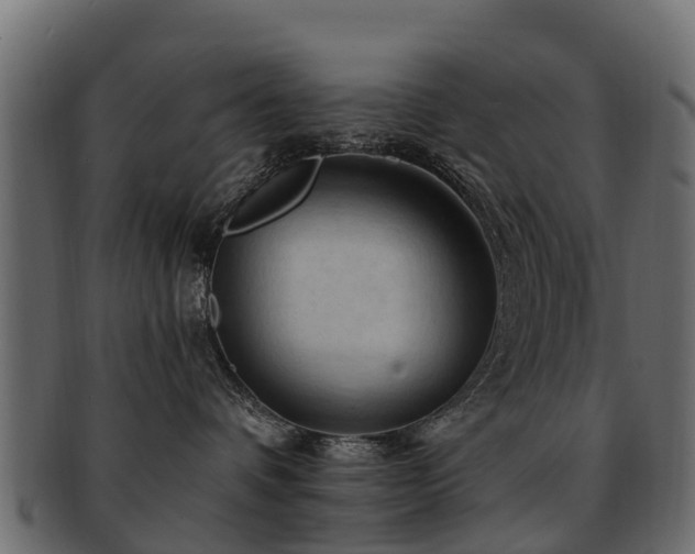 X0000093110336200709261255