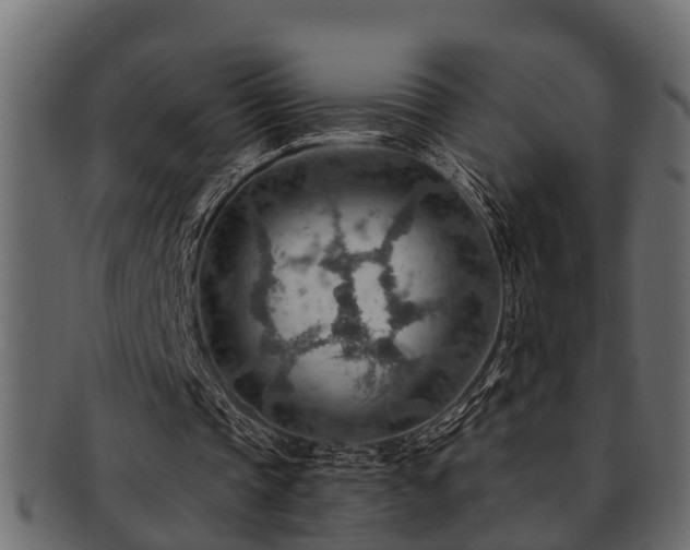 X0000093110337200709261255