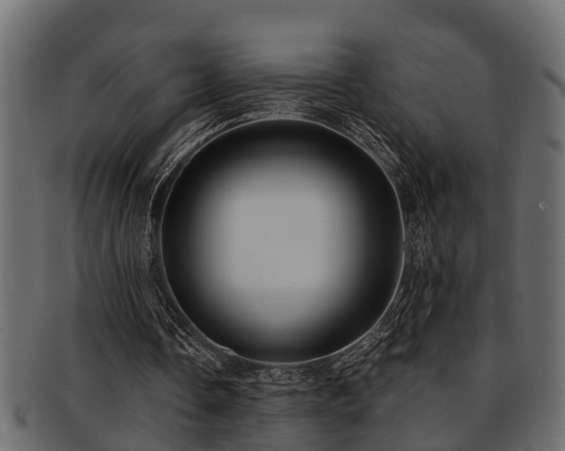 X0000093110338200709261255