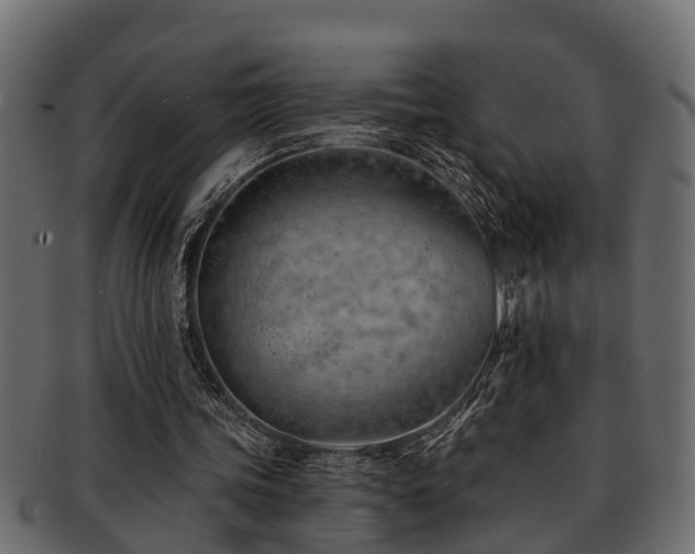 X0000093110339200709261255
