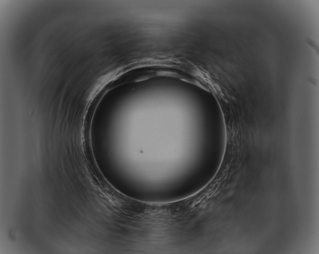 X0000093110340200709261255