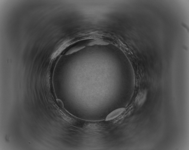 X0000093110341200709261255