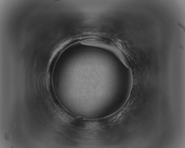 X0000093110342200709261255