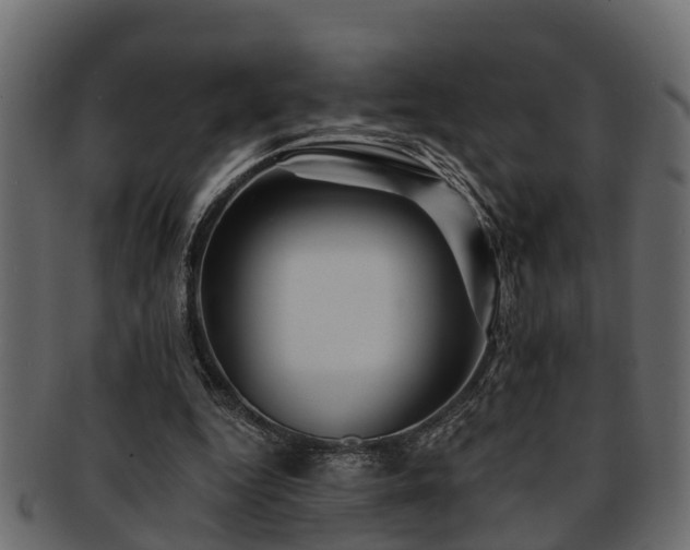 X0000093110344200709261255