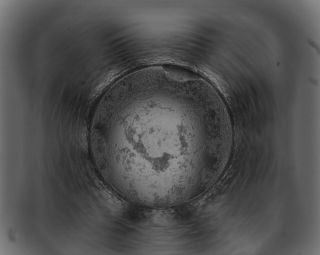 X0000093110345200709261255