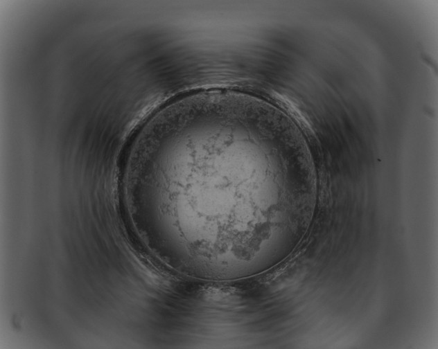 X0000093110346200709261255