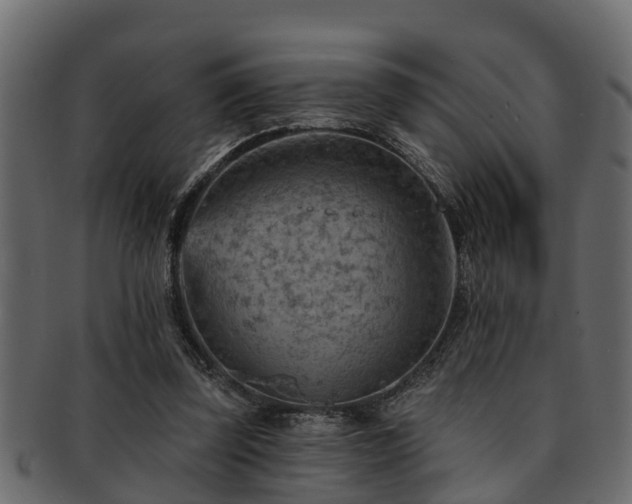 X0000093110347200709261255