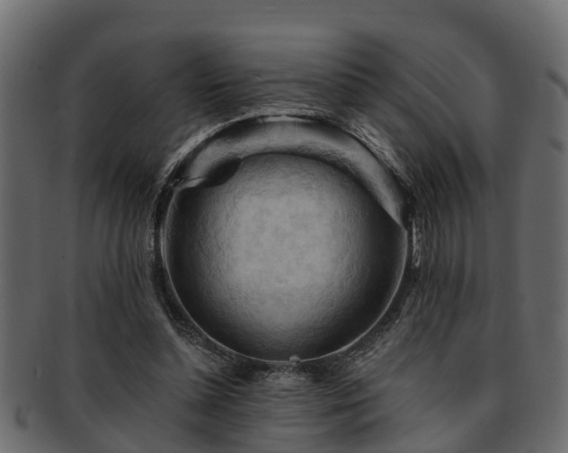 X0000093110348200709261255