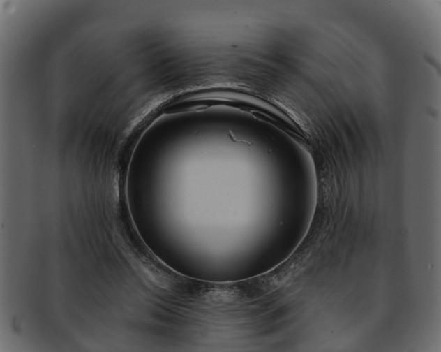 X0000093110350200709261255