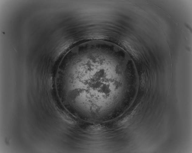 X0000093110351200709261255