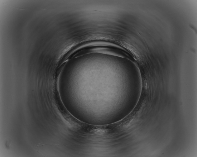 X0000093110352200709261255