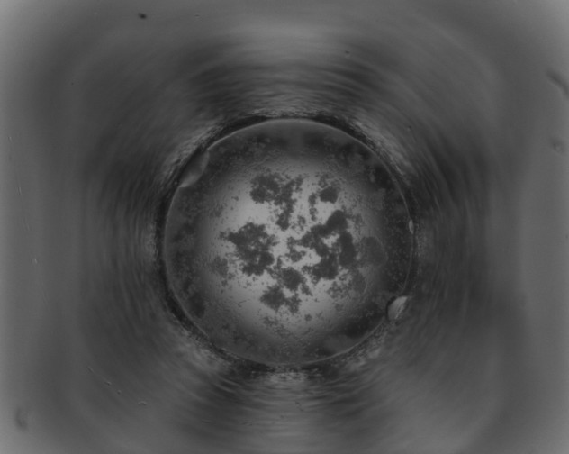 X0000093110353200709261255