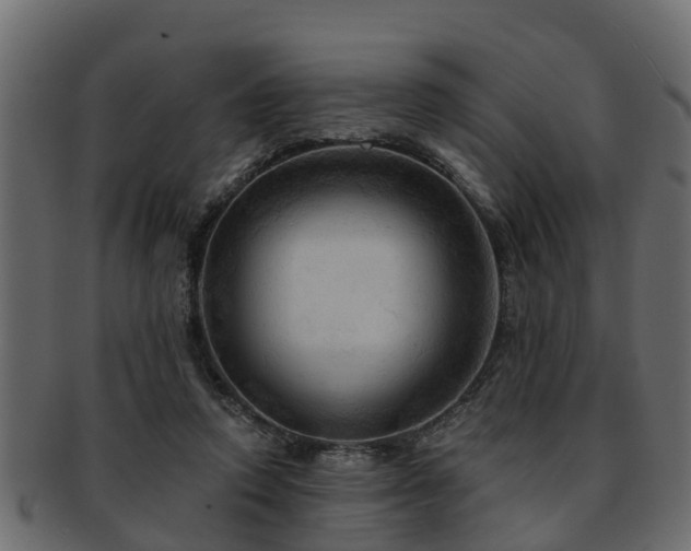X0000093110354200709261255