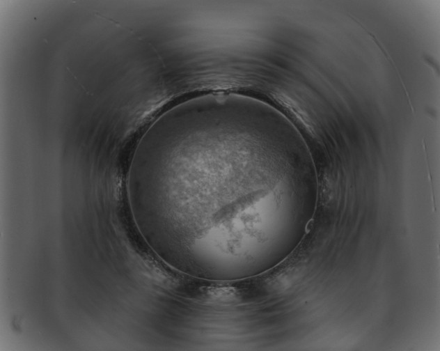 X0000093110355200709261255