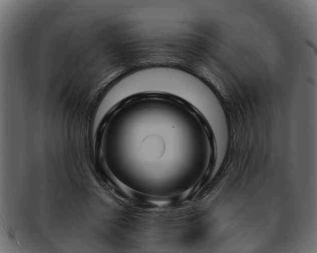 X0000093110356200709261255