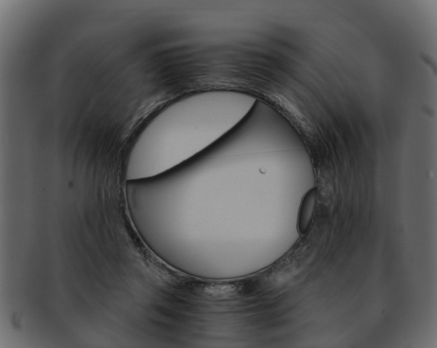X0000093110357200709261255