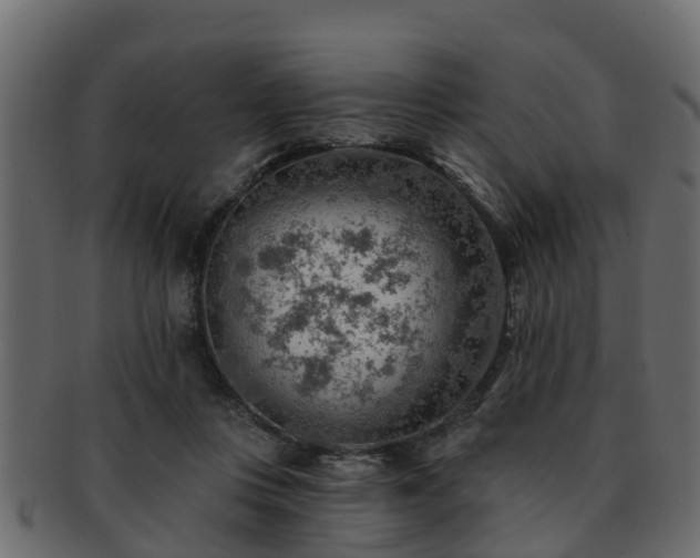 X0000093110359200709261255