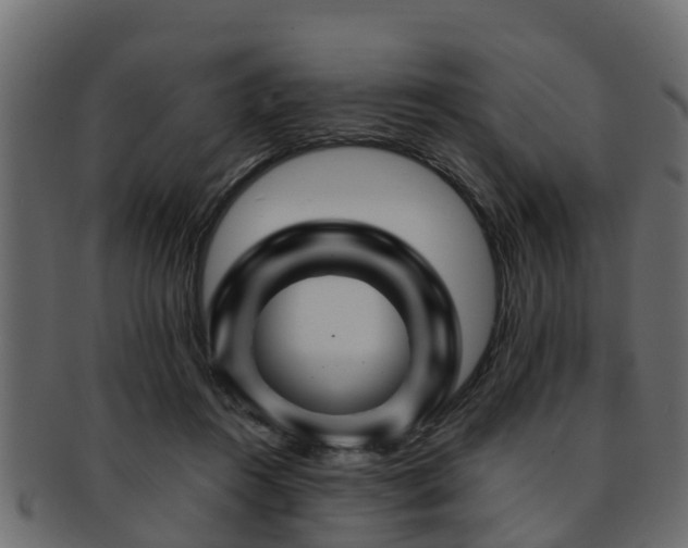 X0000093110360200709261255