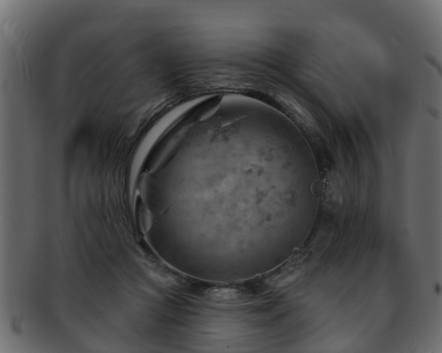 X0000093110361200709261255