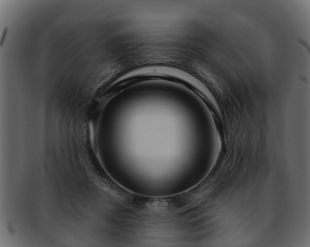 X0000093110362200709261255