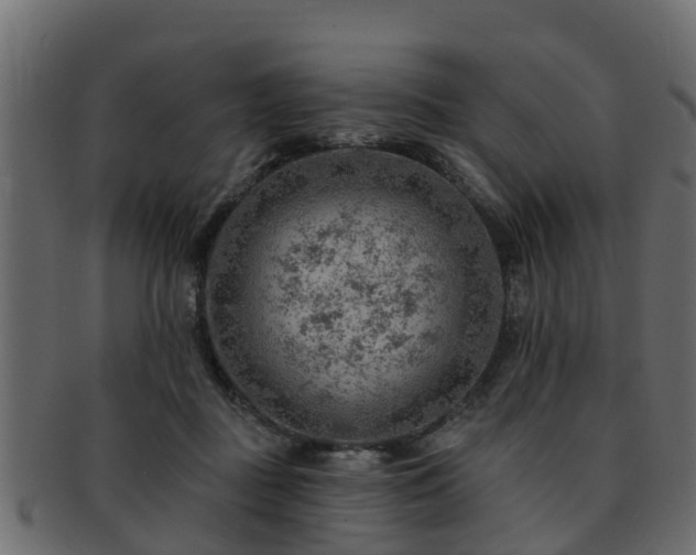 X0000093110363200709261255