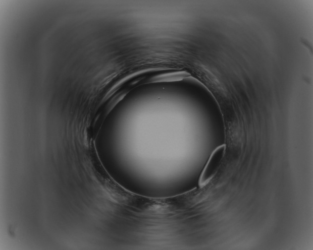 X0000093110364200709261255