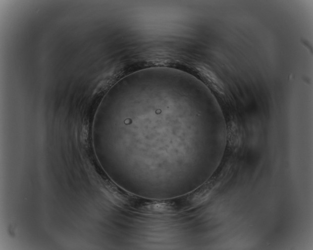 X0000093110365200709261255