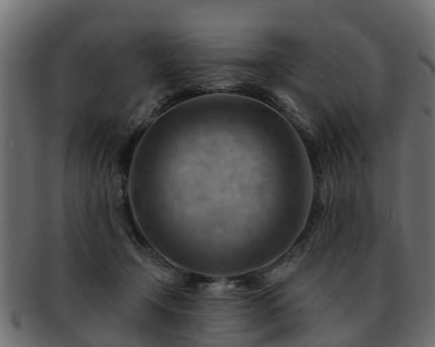 X0000093110366200709261255