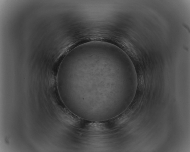 X0000093110367200709261255
