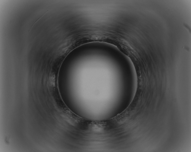X0000093110368200709261255