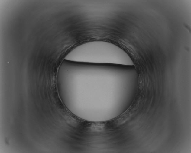 X0000093110369200709261255