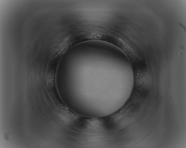 X0000093110370200709261255