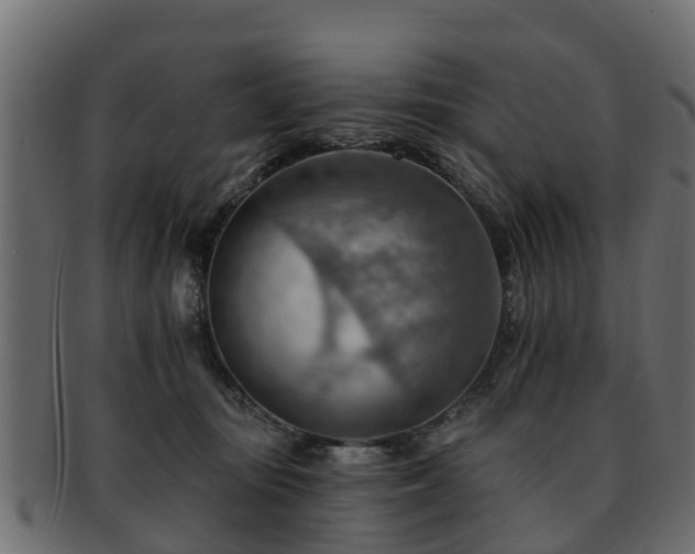 X0000093110371200709261255