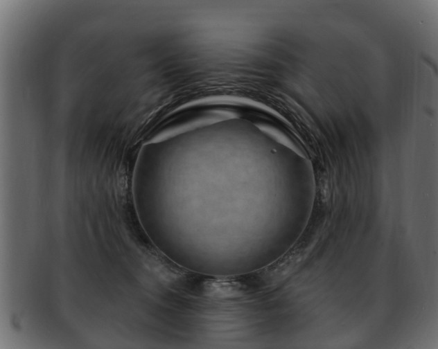 X0000093110372200709261255