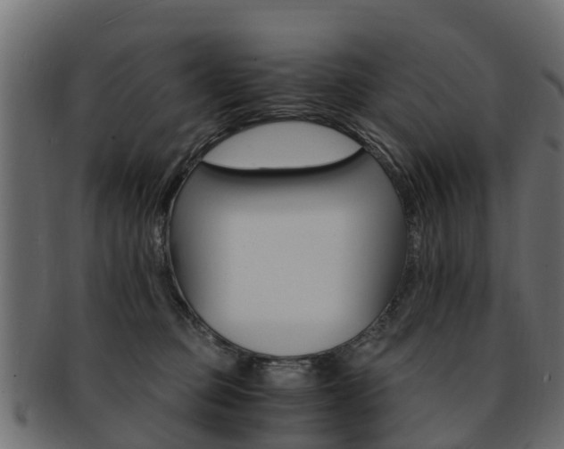 X0000093110373200709261255