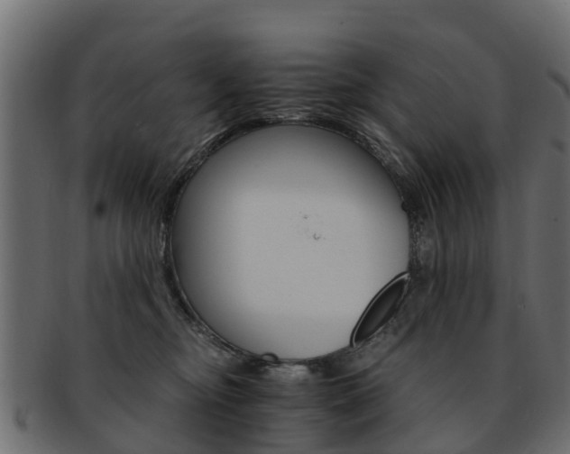 X0000093110374200709261255