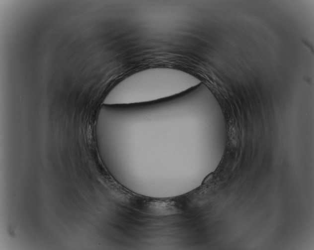 X0000093110375200709261255