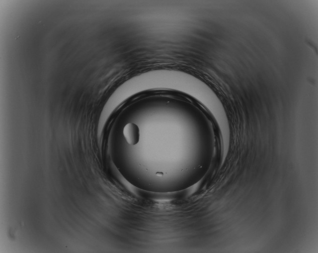X0000093110376200709261255